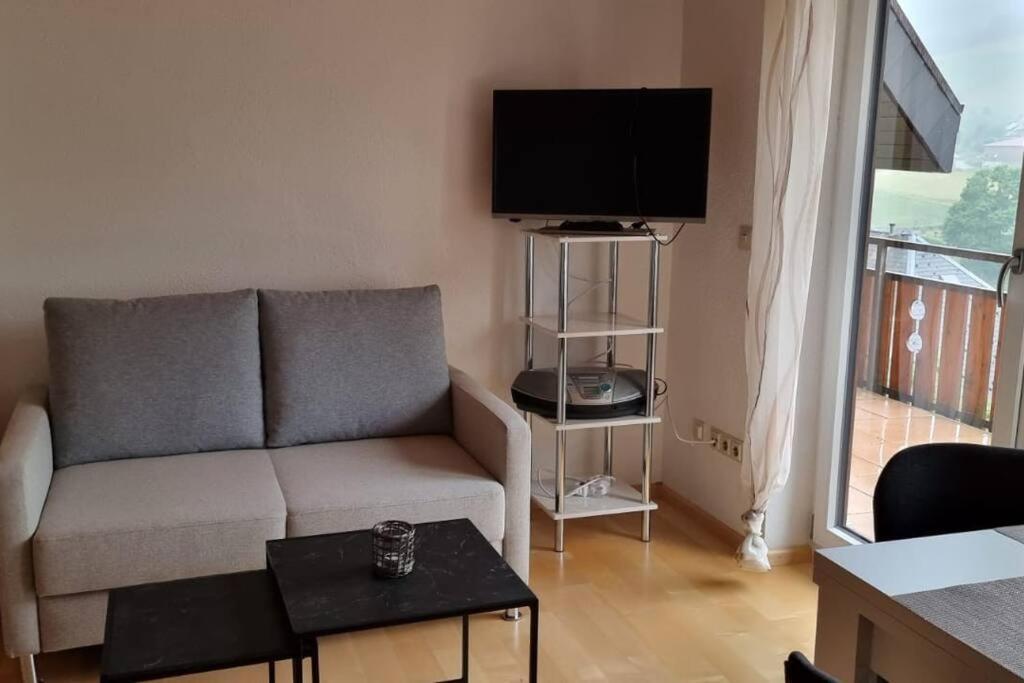 Haus Am Sonnenberg, Todtnauberg, Ferienwohnung 204, Direkt Am Skilift-Skipiste, Naehe Feldberg Luaran gambar